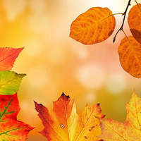 ��¶���콥�䣬����Ũ���ǵ�Ϊ���Ӽ�ʱ���£�