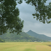 ���ź�������ݣ���������԰����