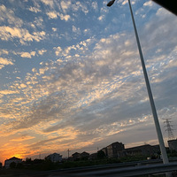 ϼ����Ƶ��ں�