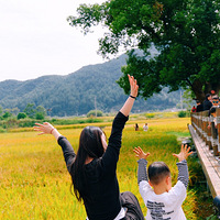 ���ź�������ݵ���