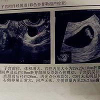 ����֮�Ҹ���������������2023�����ռǡ�