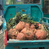 �������ʣ�ɽ����ʳ����Ķ���ô�����ȫ��oversize