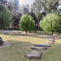 ����Ӱ2022����̨�ݡ�������԰-20221023-����