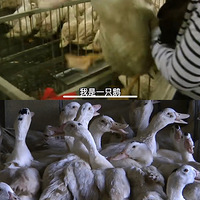 ����������ǻ���Զ�����Ҹо�������������