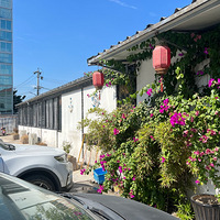 ��ʮ����ʳ�ֲݡ��������