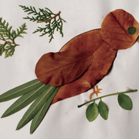 �׶�԰��Ҷճ������20����������ޣ�