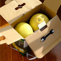 ���ĵ����������ݡ�