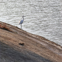 ����Ӱ2022����̨�ݡ�ͣ��Ƭ��-20221029-����