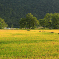 ���ʮ�ﵾ����  �ٺ�С֥��