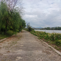 ����Ӱ2022����̨�ݡ�����ˮ��-20221030-����