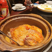 ��ʮһ����ʳ�ֲݡ����żң���óԵ��ǲ��㼦������