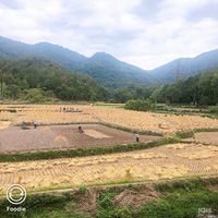 ��11�´��ޡ���������̨�����µ��＾�޶�