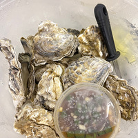 �ڼ���ҲҪ�úóԷ���