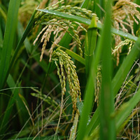 ����ʵ��