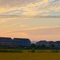 ��11�´��ޡ����յ���ĺ���