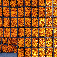 �ֵ���ӿȪ�۽۳���ļ���