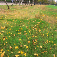 ��11�´��ޡ��������Ӳ�����