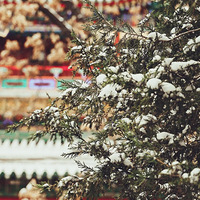 ��������������ĵ�һ����������������Щ�������Ӱ�