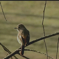 ���������г��