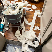 ��11�´��ޡ�����12����ѧ�ڼң���õ�Ƥ�����޷�����