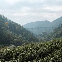 ְŵͽ
