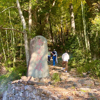 ���ɷ���