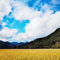 ����̨�ݣ��ֻ���¼----����С֥�ķ���������