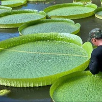 �߷ּ�¼Ƭ��֪ʶ��������һ��Ҫ������