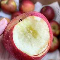 ������ƻ��������������ó�����һ��������