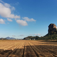 �������ֻ���