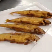 ��̨������,Ѱζ��������ζ����