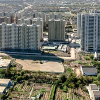 �������ߵĹ�ͬ��ԣ��+ɳ��δ������.��ò������