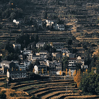 ��̨����