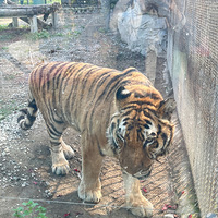 ��11�´��ޡ��þ�ûȥ�Ķ���԰