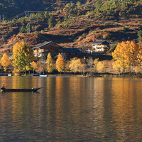 �˼�����������  ����