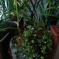 �ҵĻ����ݲ�