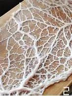 ����Щ��ͳ��ʳ����������ˮƽ����߱��Խ��Խ�٣�