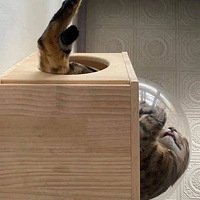 ë�����ǵ�������Ц˯�ˣ��⻭�翴������������