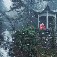 ������ζ����+���Ҵ��»��Ķ�ζ