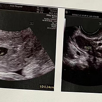 �ñ����쳤��2023�����ռǡ�