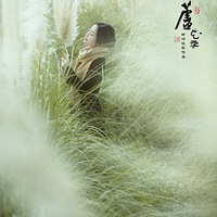 ������ζ����+«������ļ���