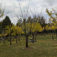 ����Ӱ2022����̨�ݡ����﹫԰-20221206-����