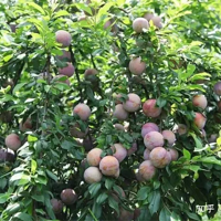 ����Щ��������һ�㣬���ǳ������ܾ��޵�ˮ����