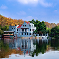 ������ζ����+���Ӻ��ϵĽ�����ɫ��