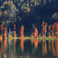 �����ˣ���̶ˮ��