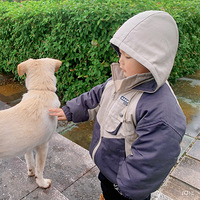 ��������ޡ���׷������׷è