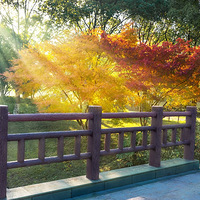 ������ζ����+��͸��Ȱ鶬��