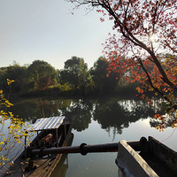 [����ζ��]ʮ������������