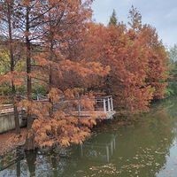 [����ζ��]ʮ����ɽ������