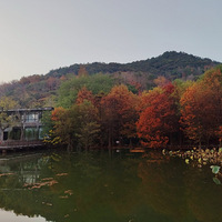 ������ζ�������ۣ�ȥ����ɽ����ɫ